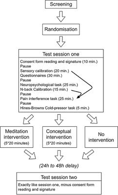Effects of Brief Mindfulness Interventions on the Interference Induced by Experimental Heat Pain on Cognition in Healthy Individuals